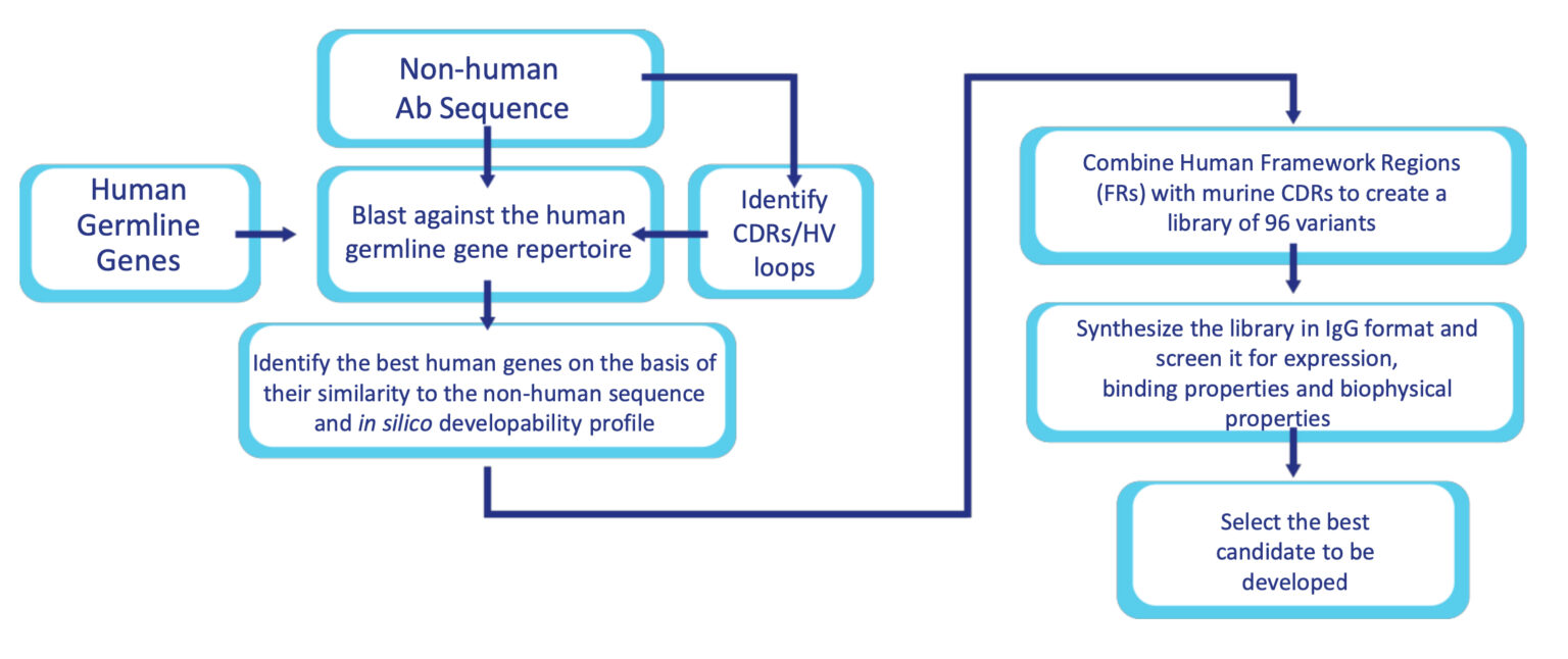 Humanization Services UDIBI